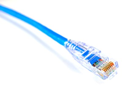 Close-up Of Blue Ethernet Cable Against White Background photo