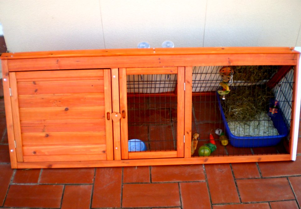 I Bought A Bunny Hutch
