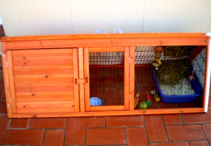I Bought A Bunny Hutch
