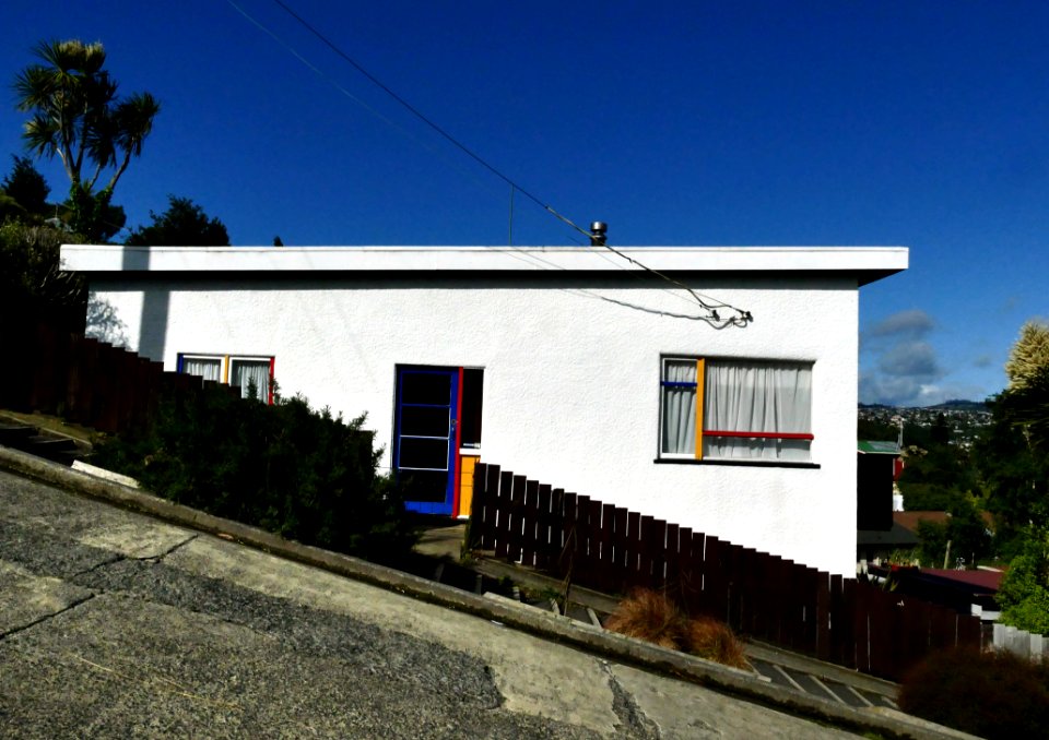 Worlds Steepest St Dunedin