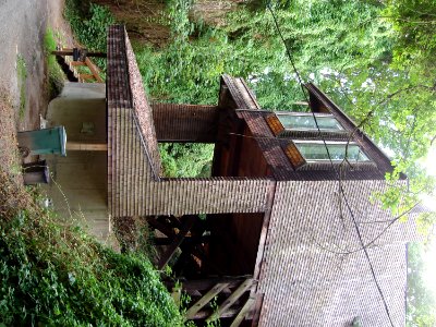 Plant Building Property Window