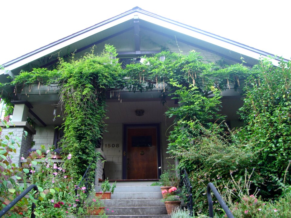 Plant Building Property Door
