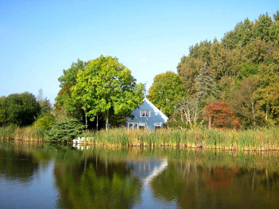 BluehouseNetherlands