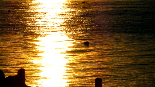 Sunset Reflection