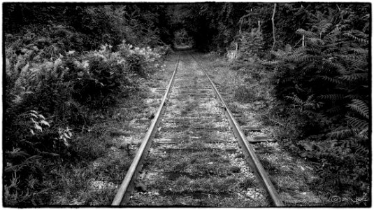 Train Tracks photo
