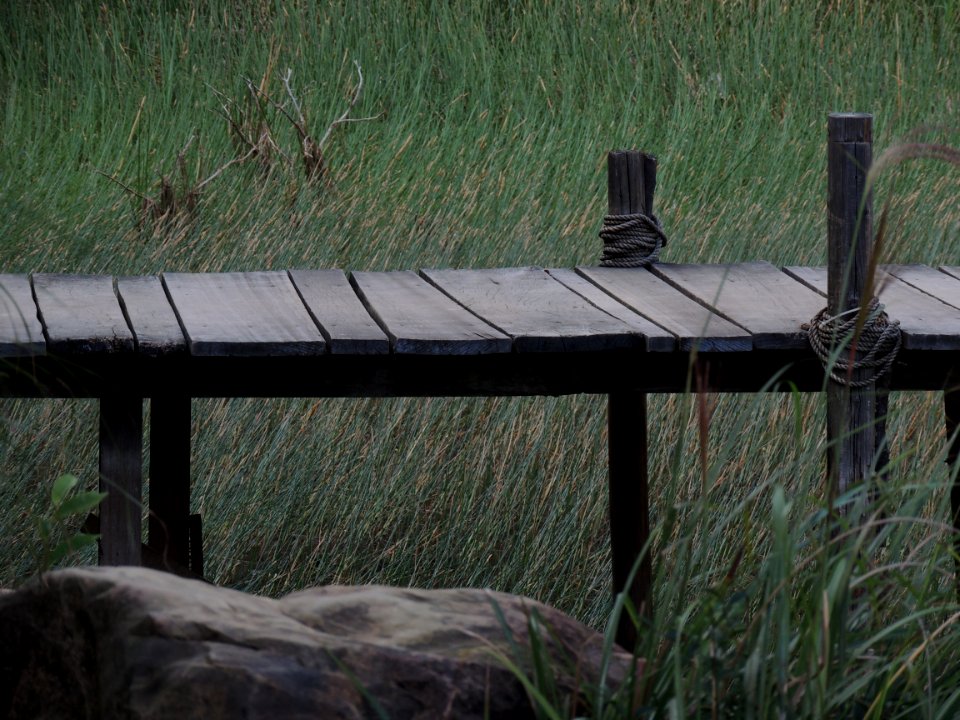 Brown Wooden Dock Near Green Grass Field