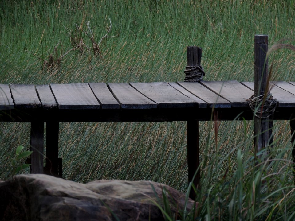 Brown Wooden Dock Near Green Grass Field photo