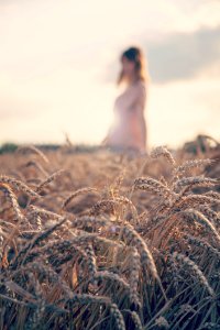 Woman In The Fields