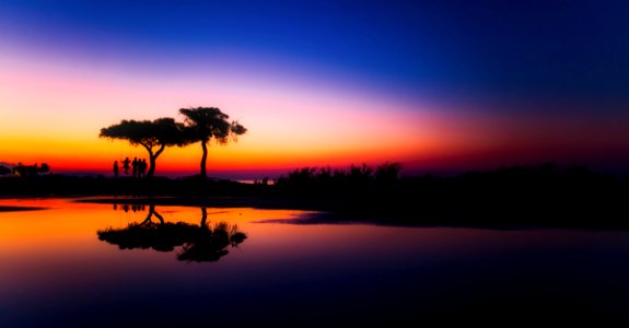 Silhouette Of Trees At Sunset photo