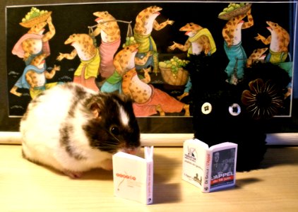 Who Says Hamsters Cant Read photo
