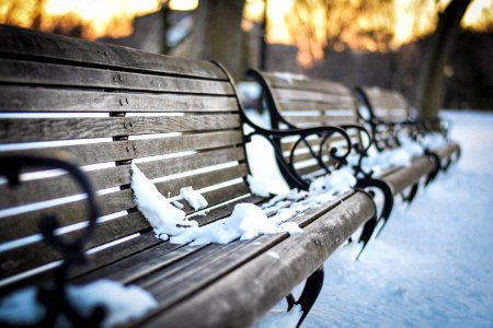 White House Ellipse Bench