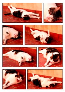 Chis Morning Routine