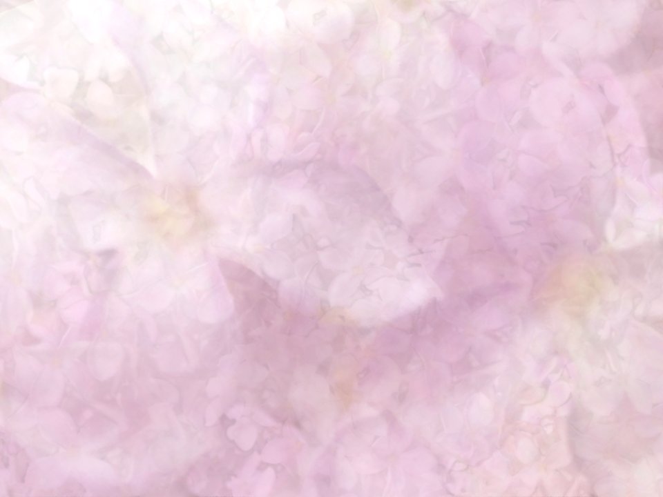 Free Texture - Lilac Dreams