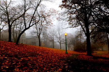 Autumnal Park photo