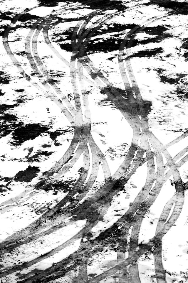 Traces In The Snow photo