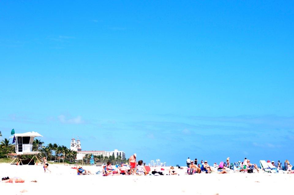 West Palm Afternoon