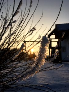 Snow