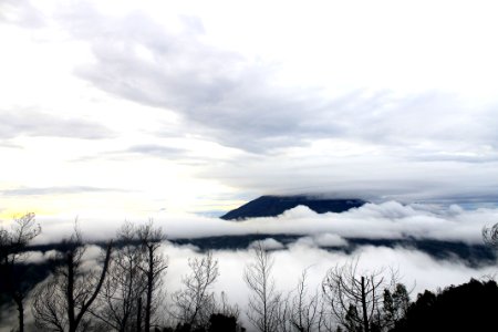 Fogxy Plateau