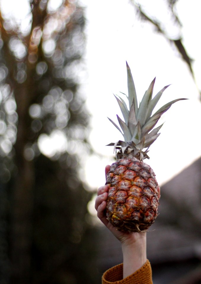 Pineapple