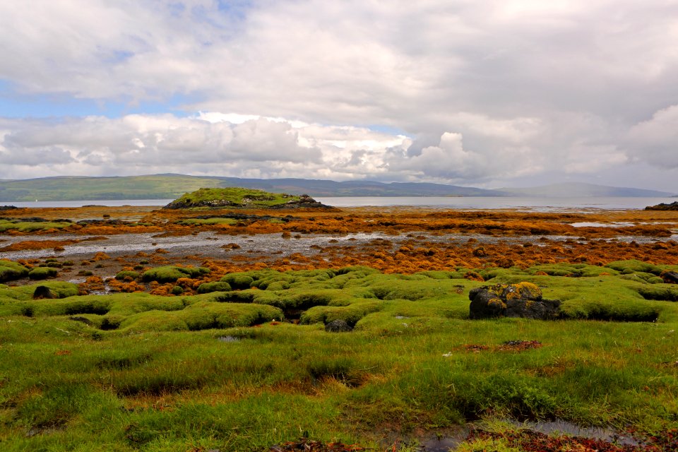 Orange Toundra Ilse Of Mull