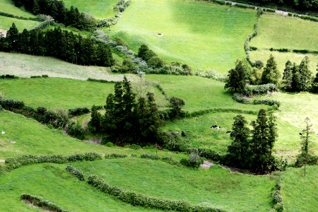 Countryside
