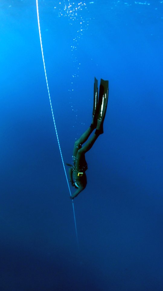 Free Diver