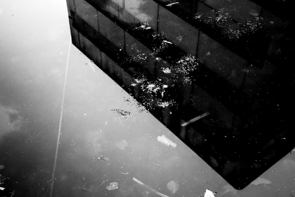 Water Reflection