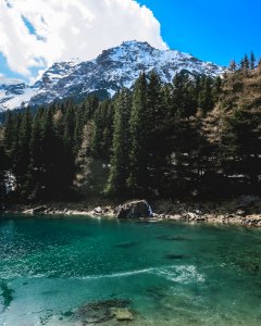 Spring River