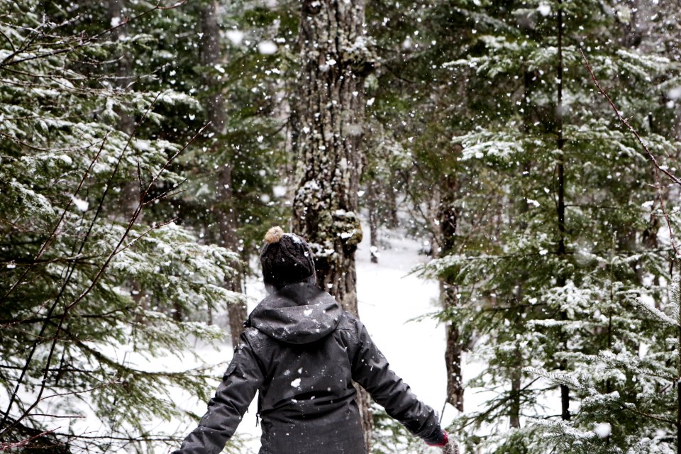 Walking In Winter Forest