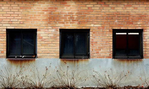 Brick Wall photo