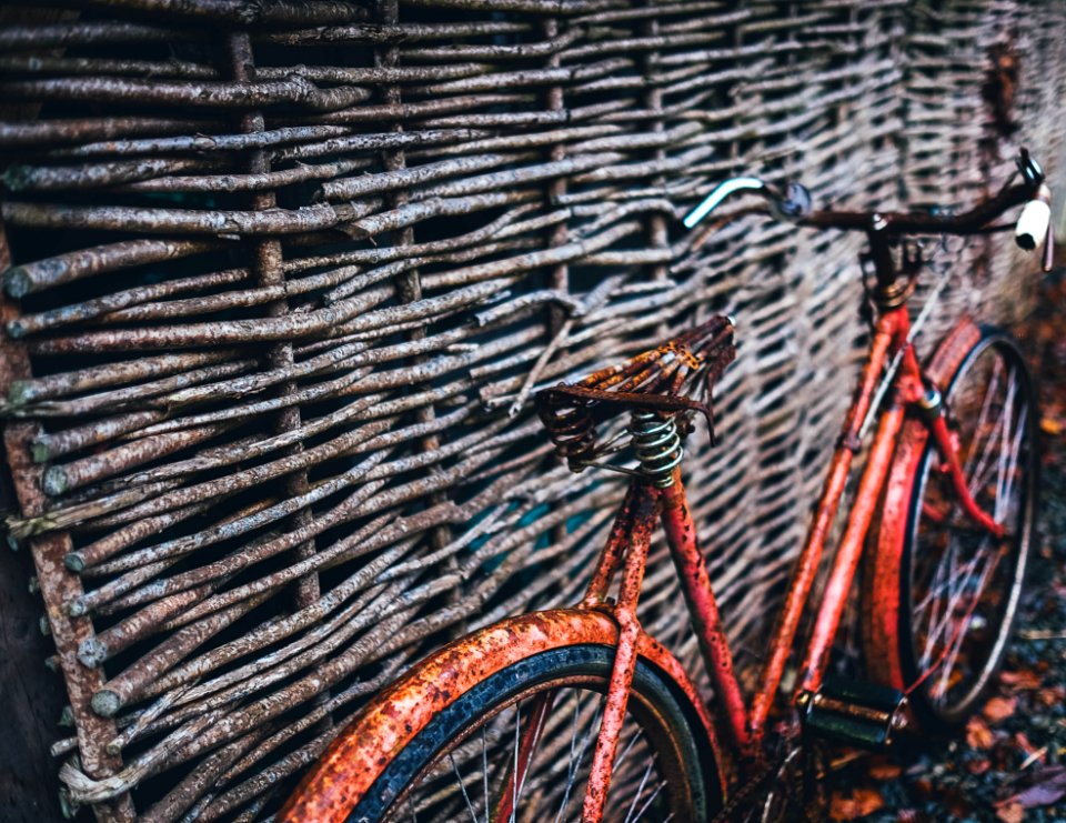 Abandoned Bicycle