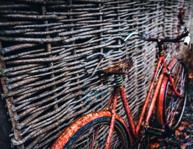 Abandoned Bicycle