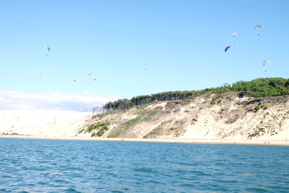 Flying Over The Sea