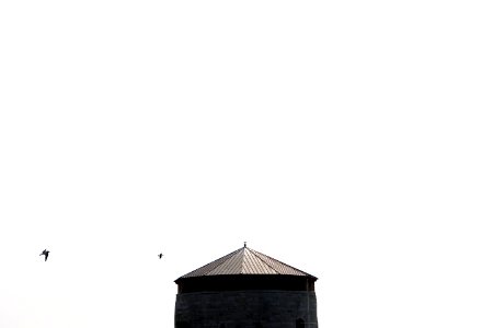 Lonely Tower photo
