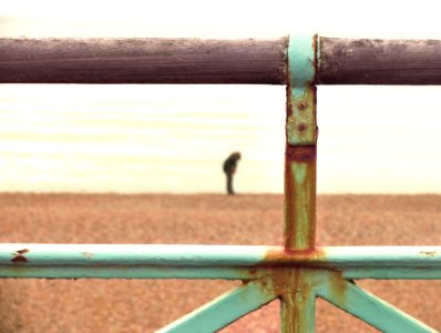 Fence Portrait