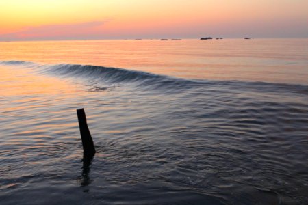 Wave