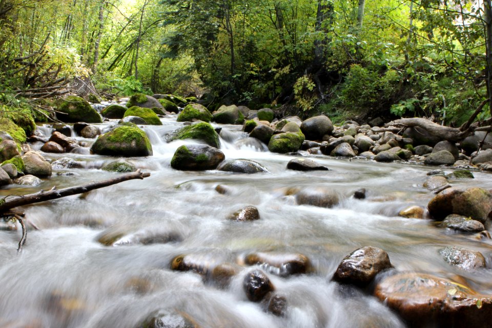 Stream