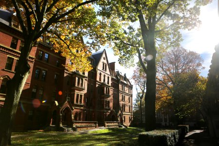 Harvard