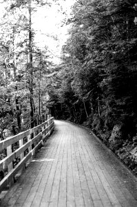 The Walk