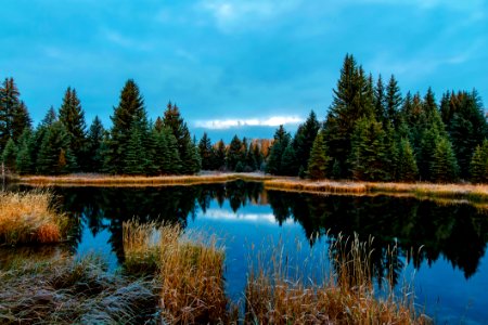 Panoramic View Of Lake In Forest