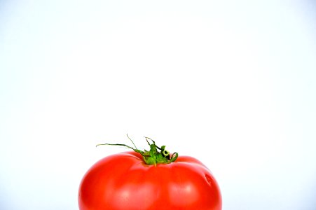 Fresh Red Tomato photo
