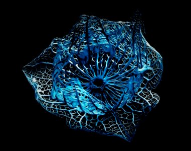 Blue Round And Grey Net Material