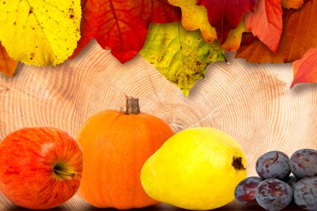 Leaves And Fruits photo