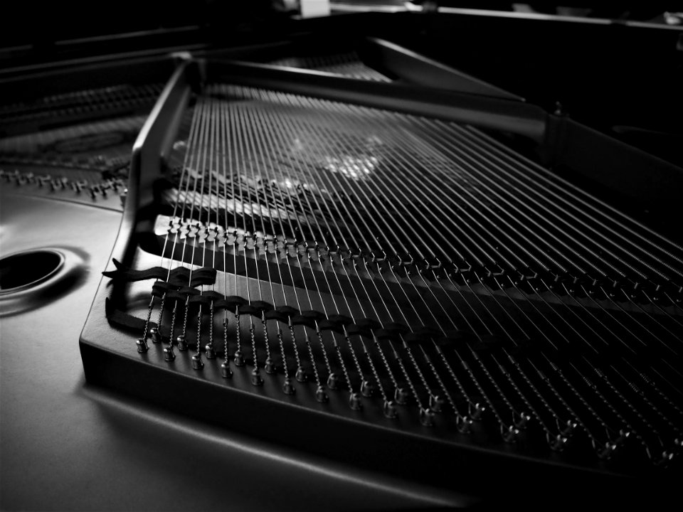 Close Up Of A Musical Instrument
