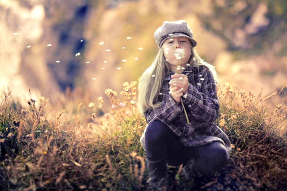 Girl Blowing Dandelions In Field