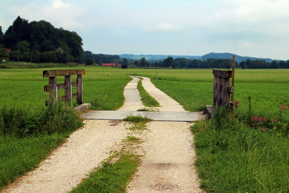Lane nature wooden bridge