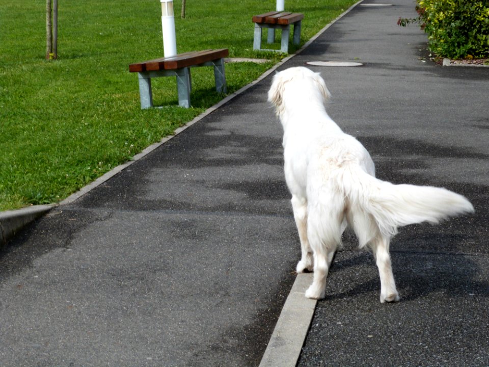Frip Wondering Who She Should Pounce On Next