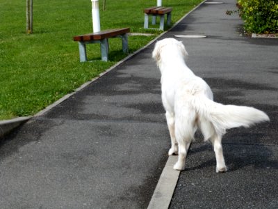 Frip Wondering Who She Should Pounce On Next