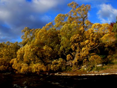 Lake Hayes Otago NZ (11)