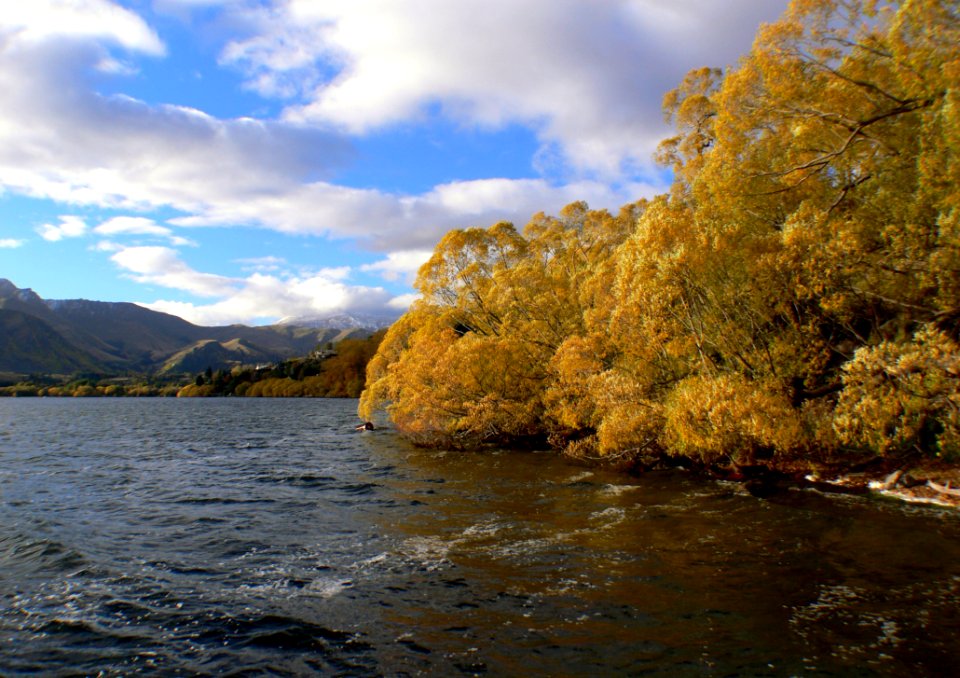 Lake Hayes Otago NZ (5)